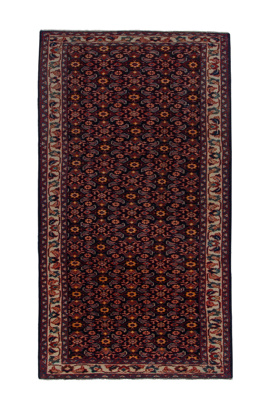 CAN_4079 - 3'3" x 10'4"