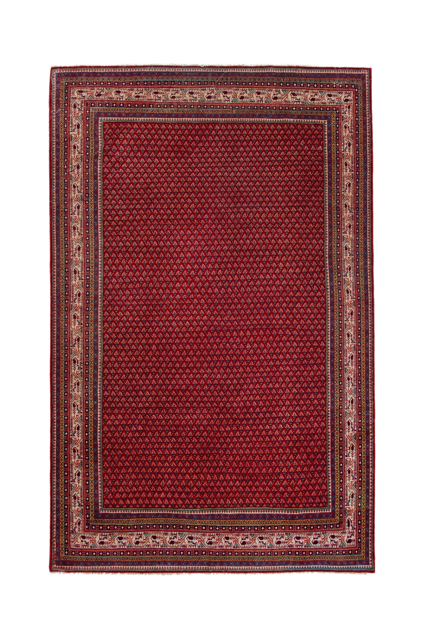CAN_4089 - 7' x 10'10"