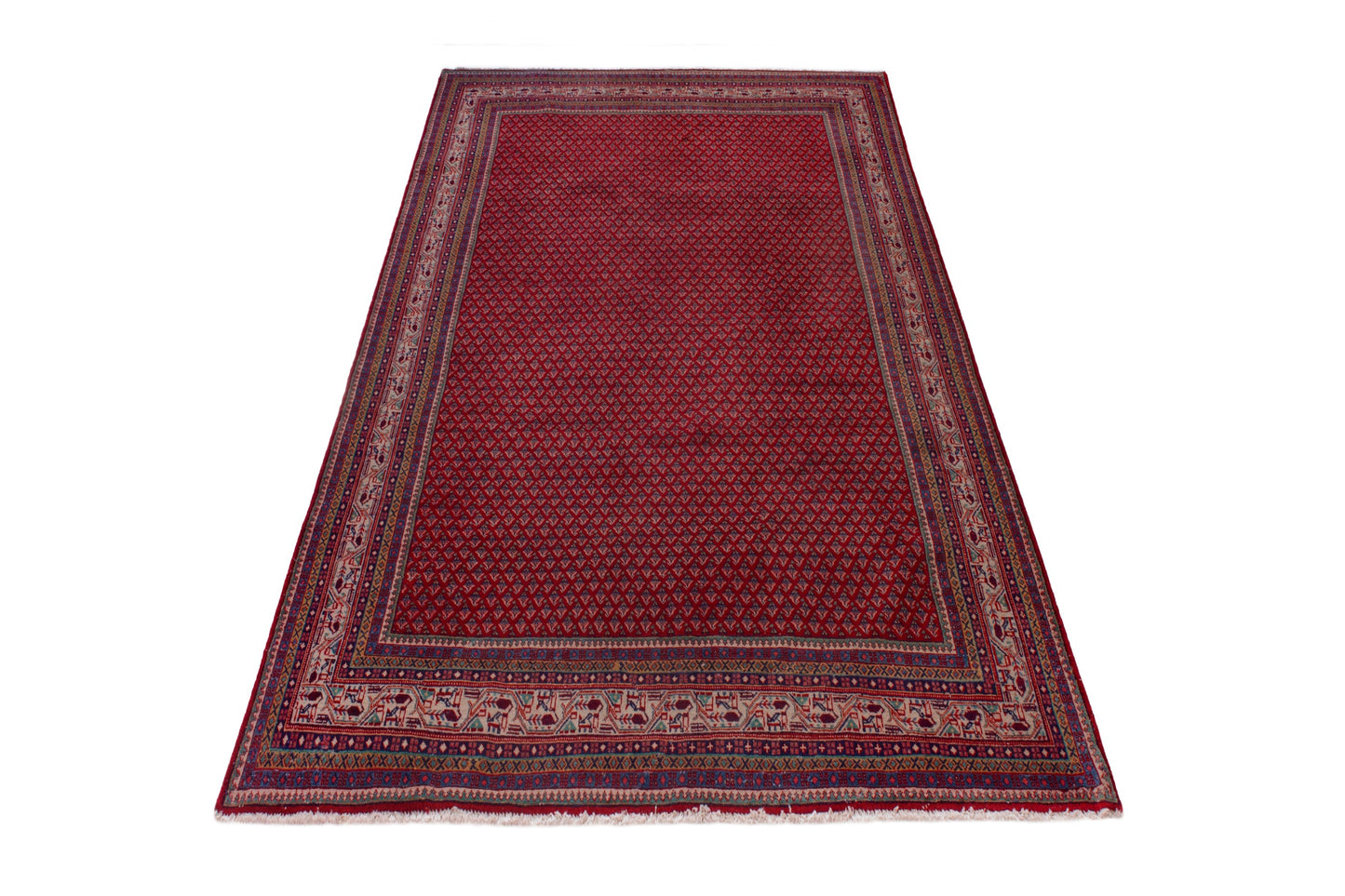 CAN_4089 - 7' x 10'10"