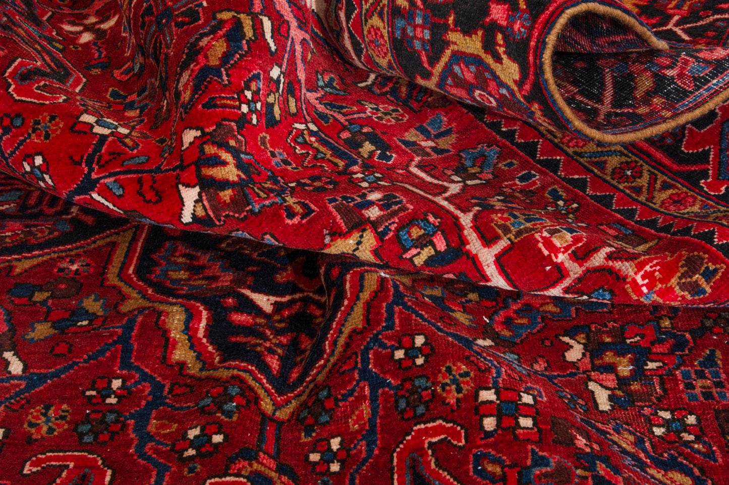 CAN_4097 - 8'10" x 13'3"