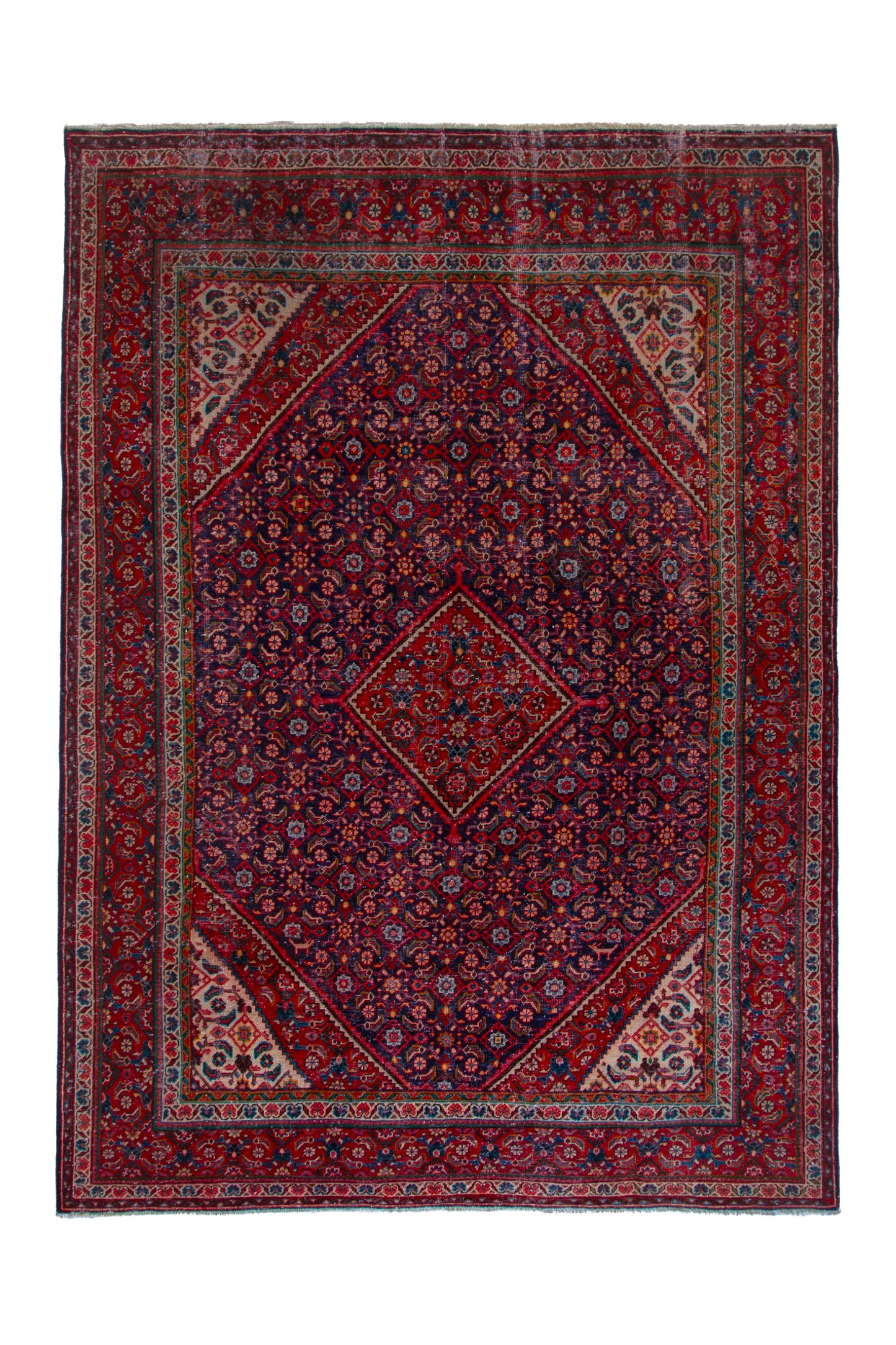 CAN_4098 - 9'6" x 13'3"