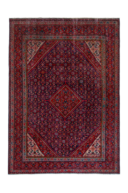 CAN_4098 - 9'6" x 13'3"