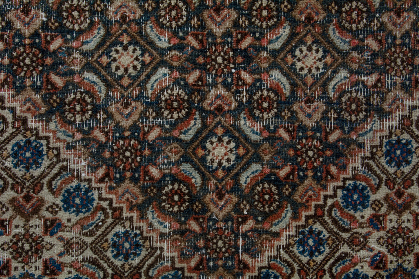 CAN_4104 - 8'10" x 12'6"