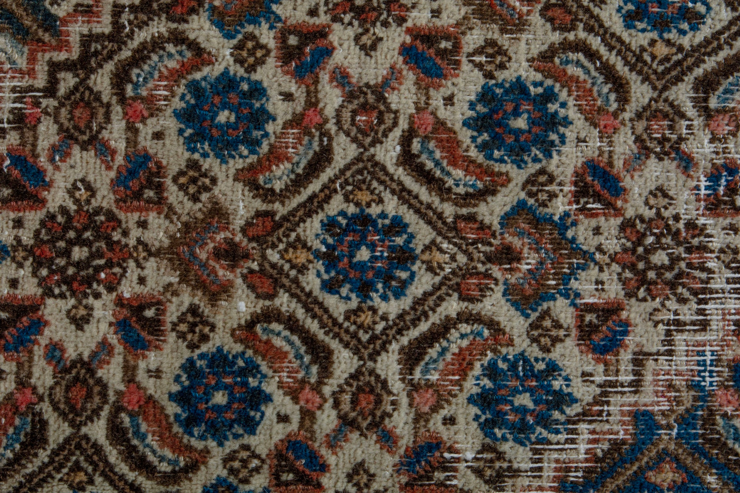 CAN_4104 - 8'10" x 12'6"