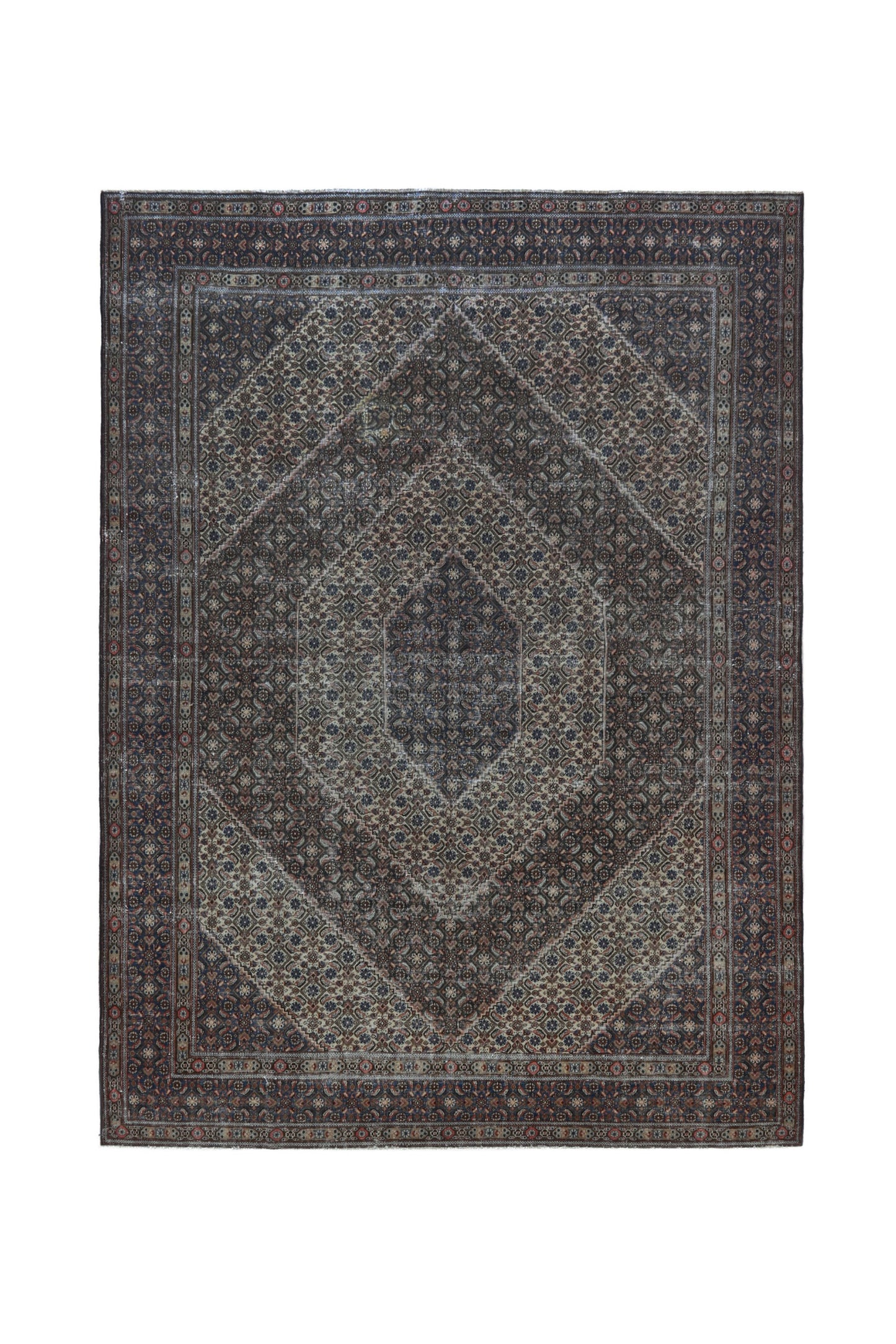 CAN_4104 - 8'10" x 12'6"