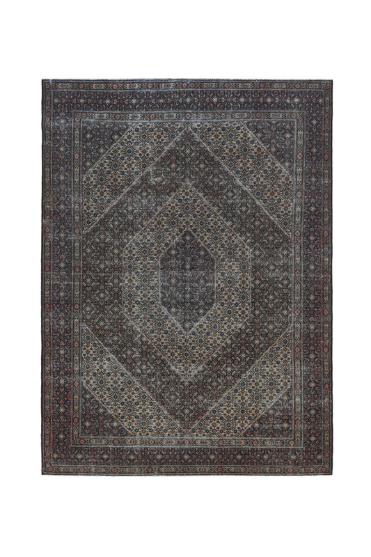 CAN_4104 - 8'10" x 12'6"