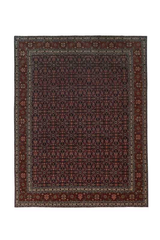 CAN_4107 - 9'4" x 12'10"