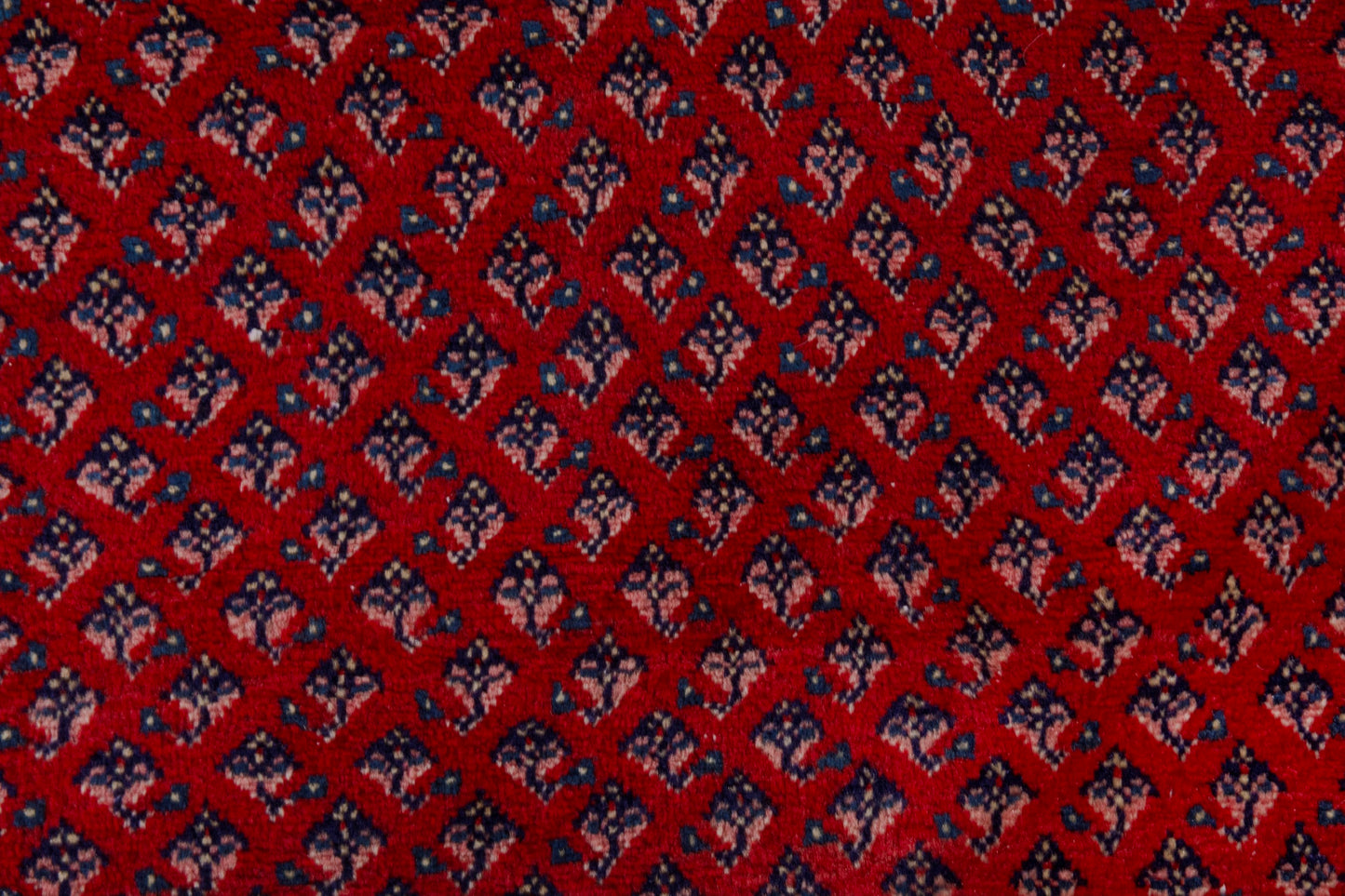 CAN_4115 - 7'9" x 10'11"