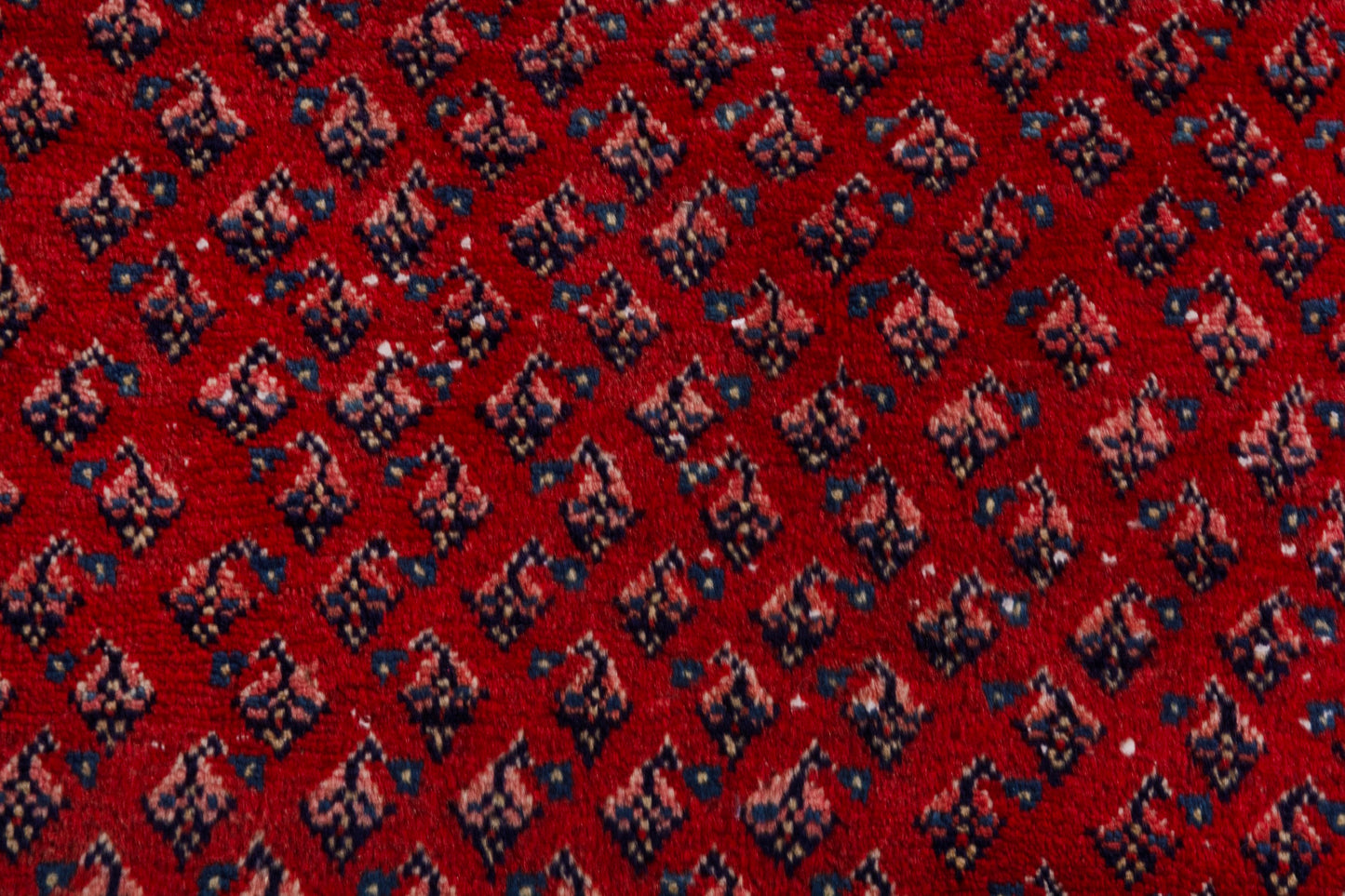 CAN_4115 - 7'9" x 10'11"