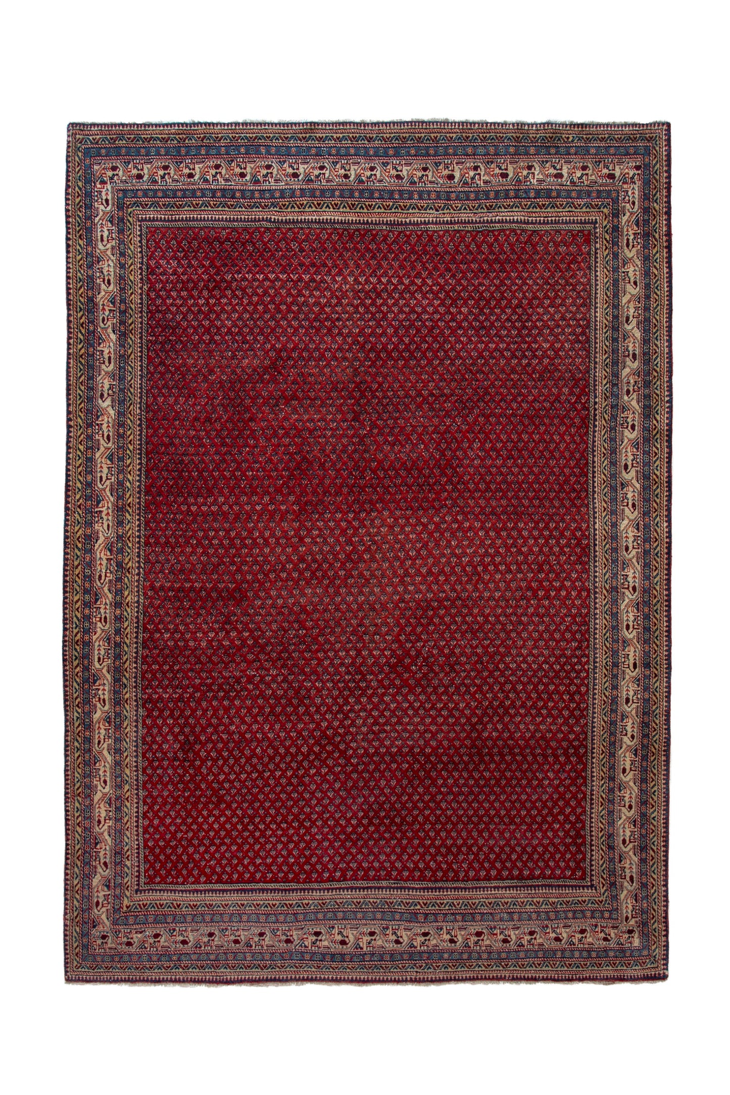 CAN_4115 - 7'9" x 10'11"