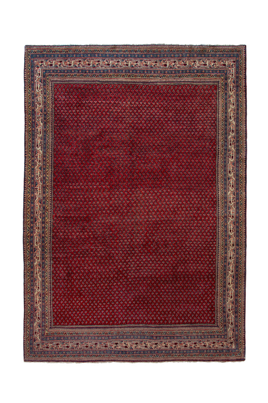 CAN_4115 - 7'9" x 10'11"