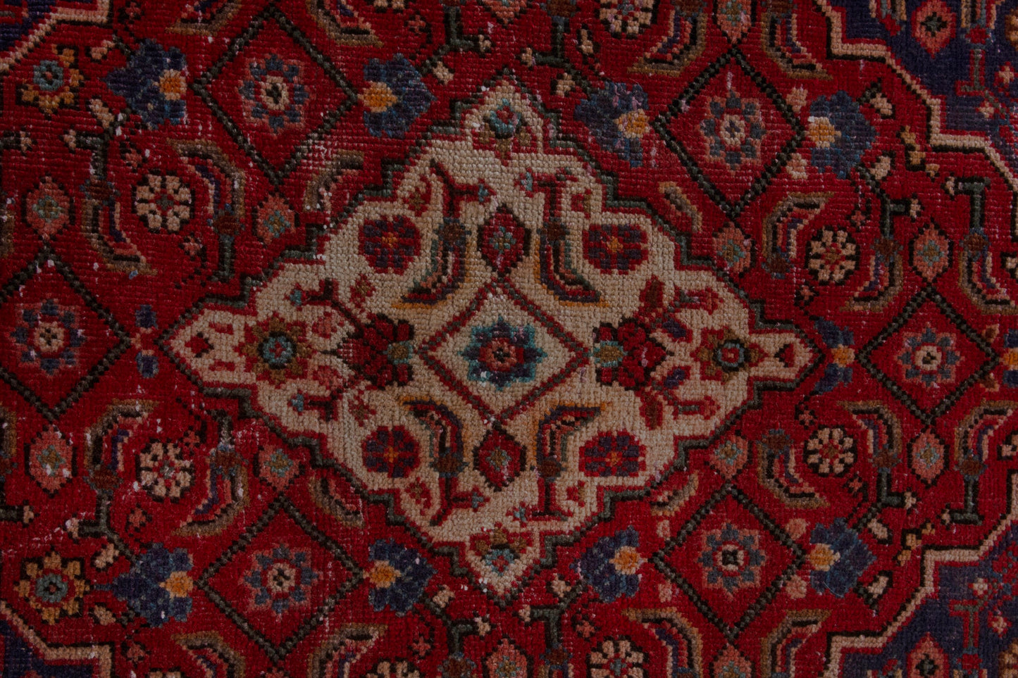 CAN_4117 - 9'6" x 13'