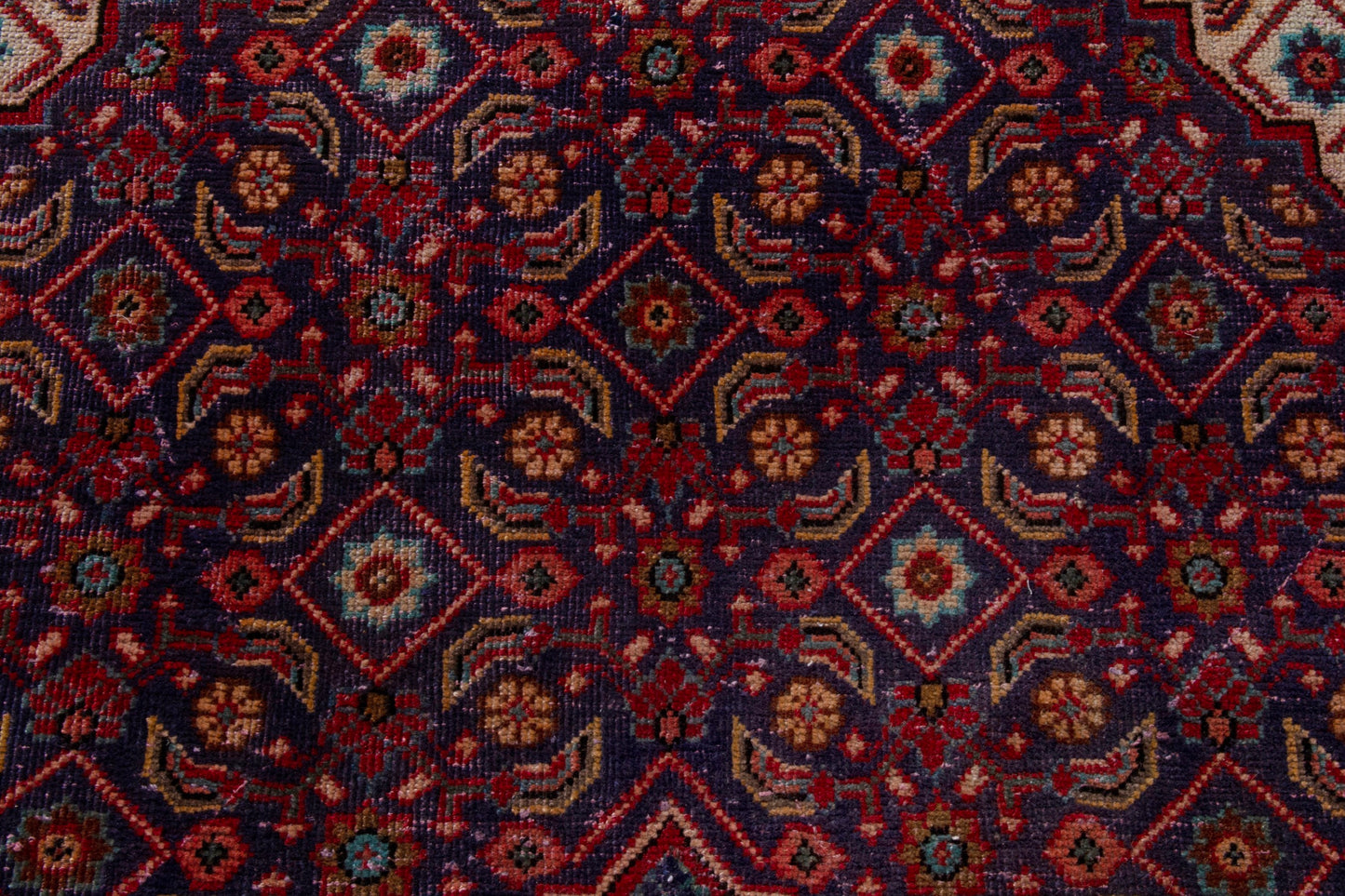 CAN_4117 - 9'6" x 13'
