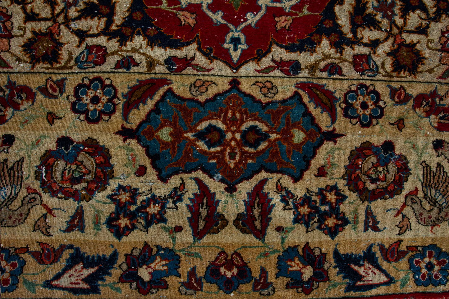 CAN_4122 - 8'6" x 13'1"