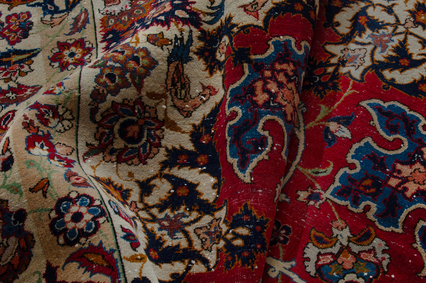 CAN_4122 - 8'6" x 13'1"
