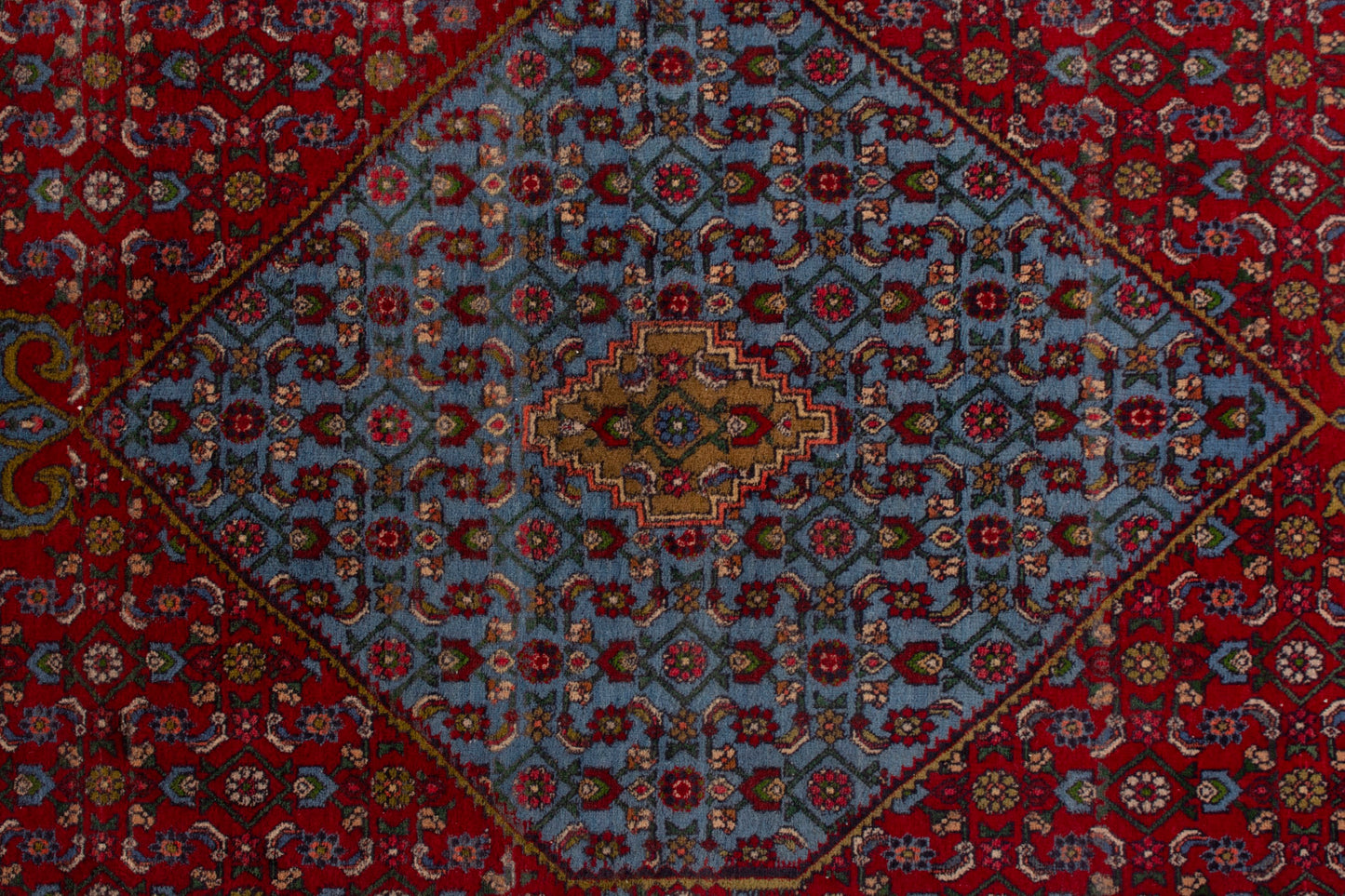 CAN_4140 - 10' x 13'3"