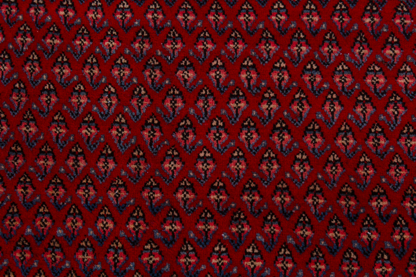 CAN_4157 - 8' x 11'10"