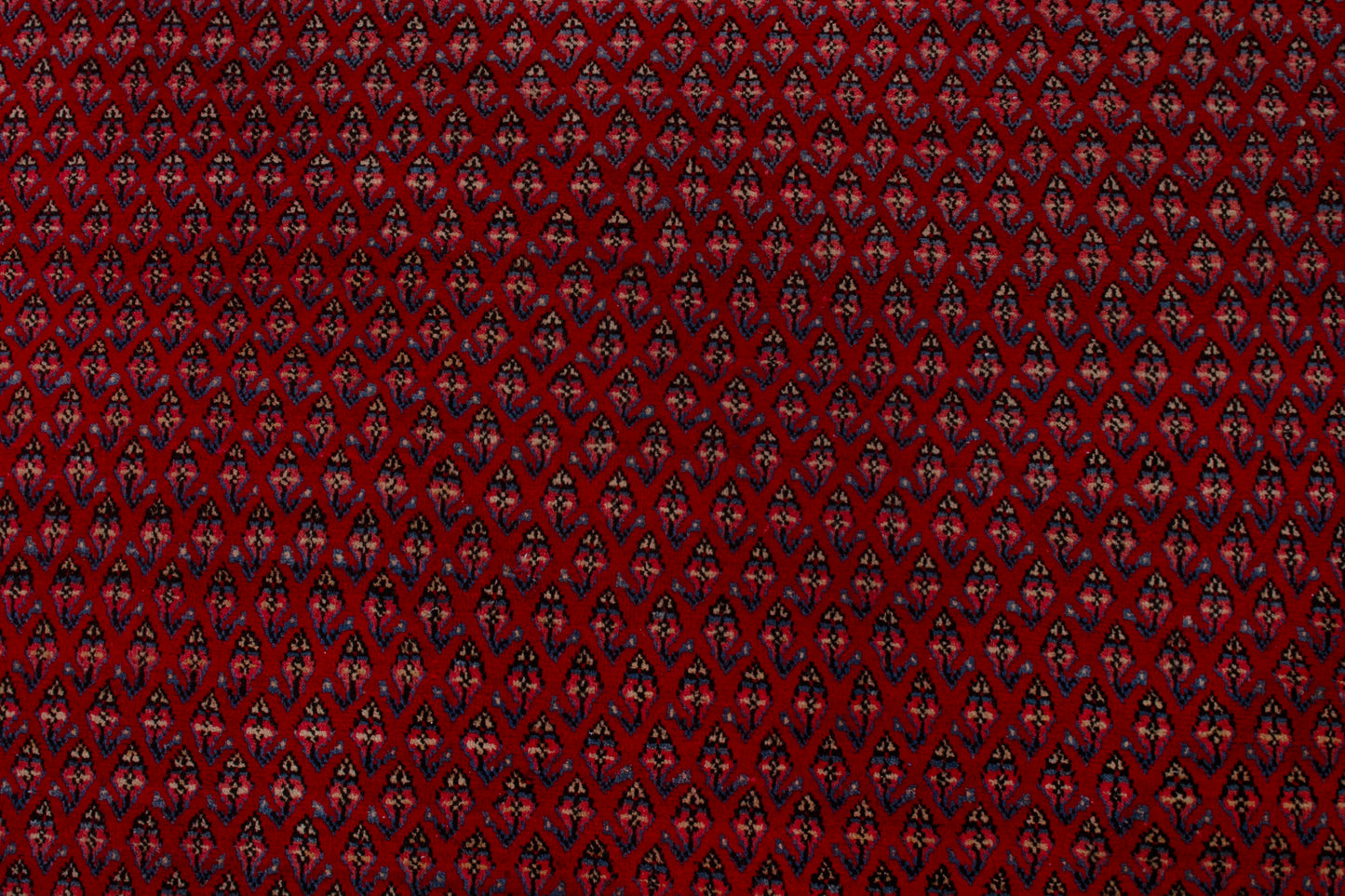 CAN_4157 - 8' x 11'10"