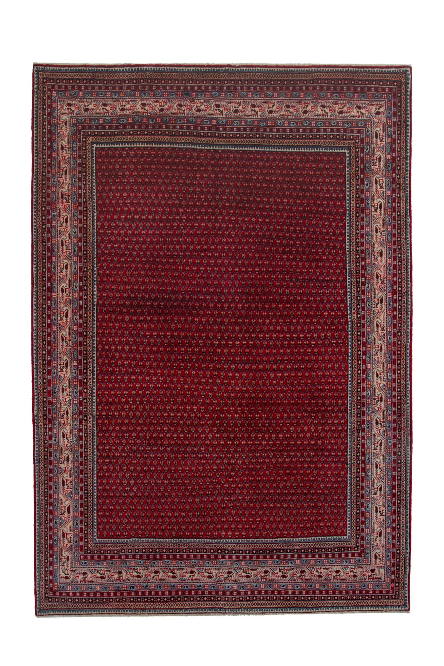 CAN_4157 - 8' x 11'10"