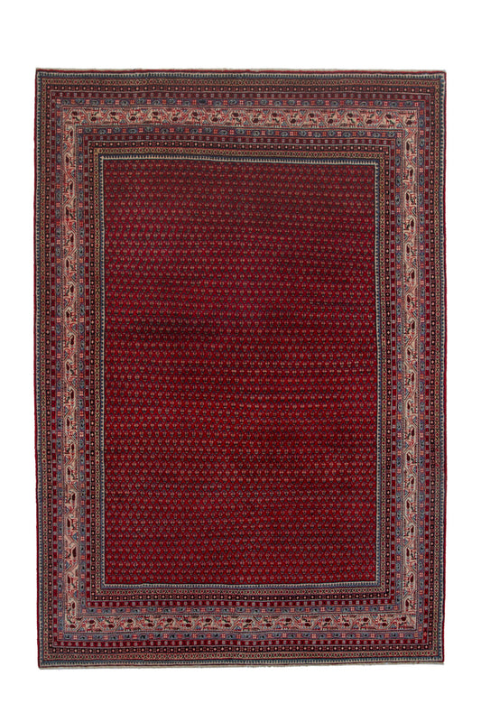 CAN_4157 - 8' x 11'10"