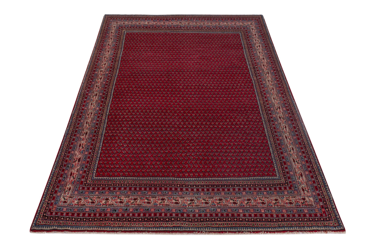 CAN_4157 - 8' x 11'10"