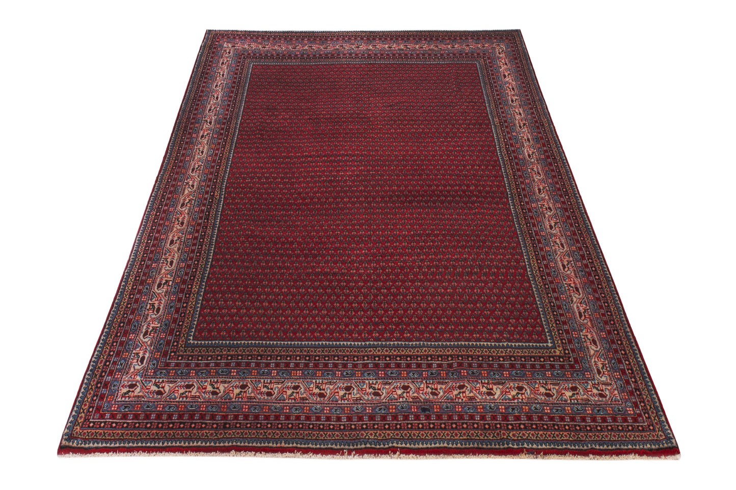 CAN_4157 - 8' x 11'10"