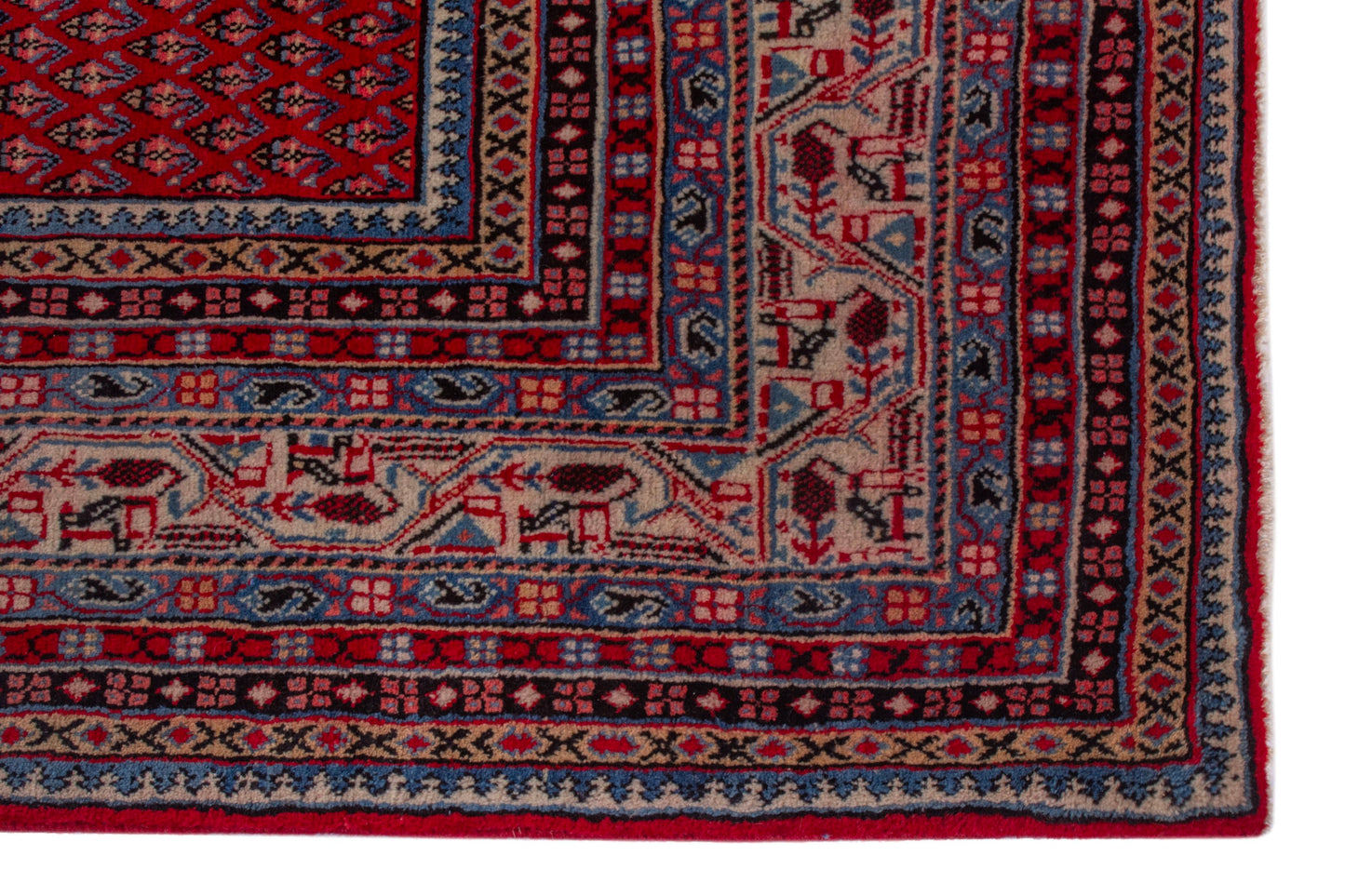 CAN_4157 - 8' x 11'10"
