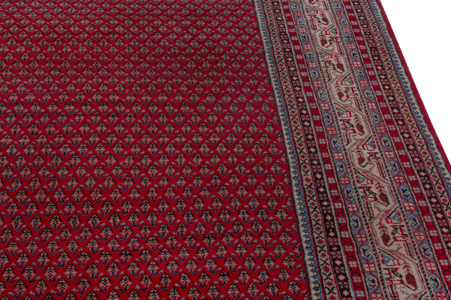 CAN_4157 - 8' x 11'10"