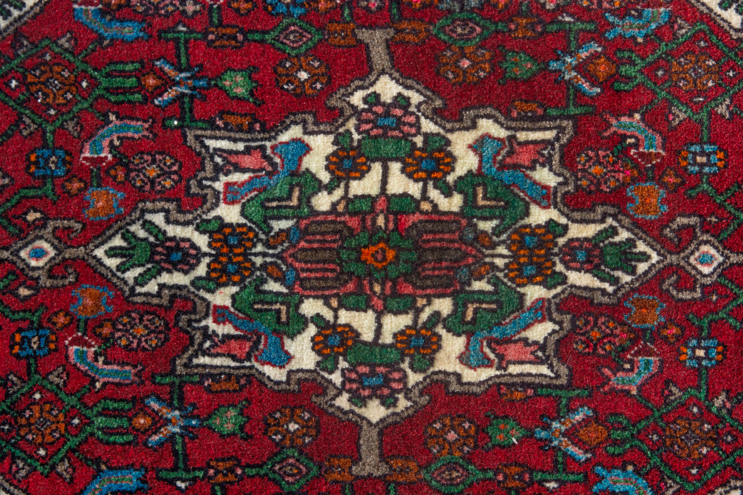 CAN_4161 - 1'10" x 3'3"
