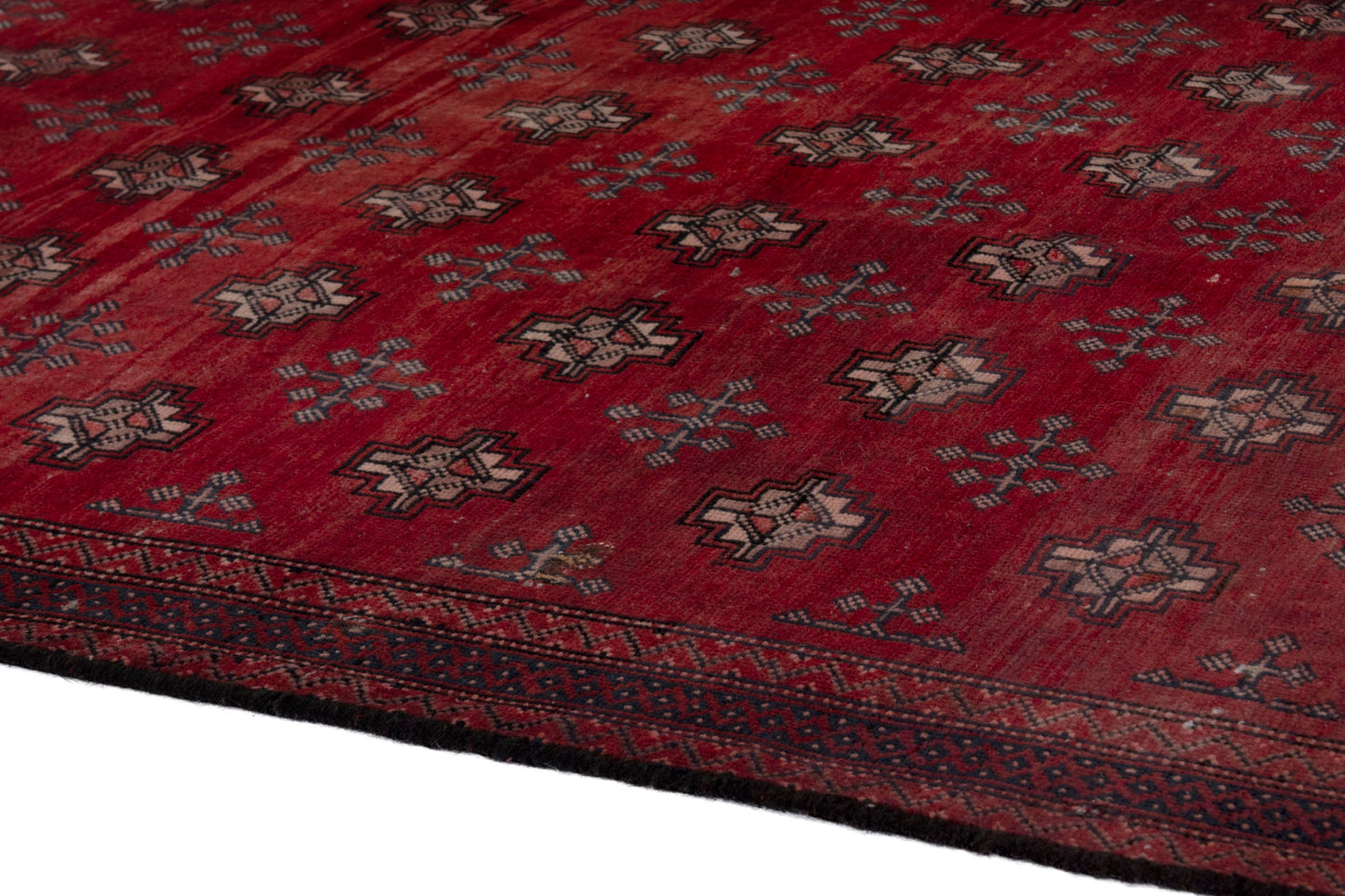 CAN_4230 - 4'3" x 9'