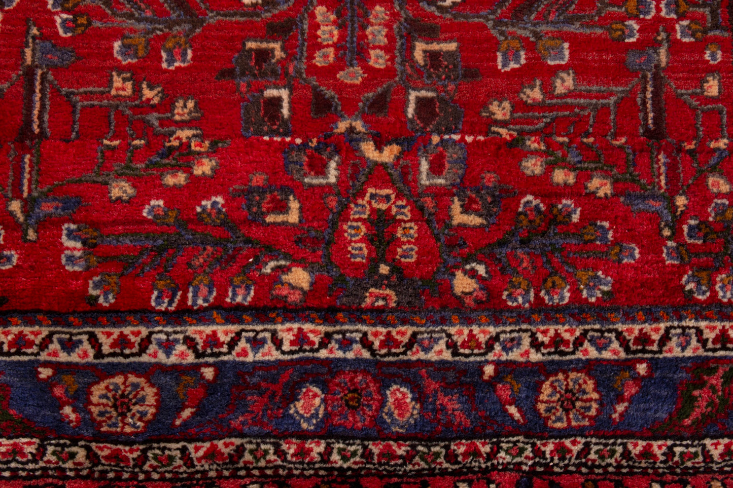 CAN_4231 - 4'3" x 7'6"