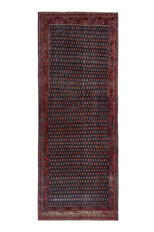 CAN_4235 - 4'2" x 12'2"