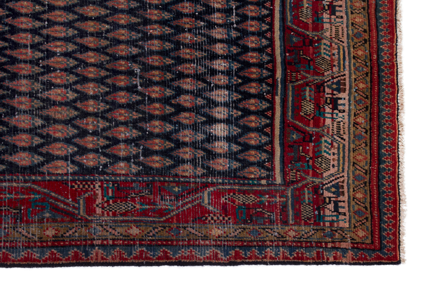 CAN_4235 - 4'2" x 12'2"