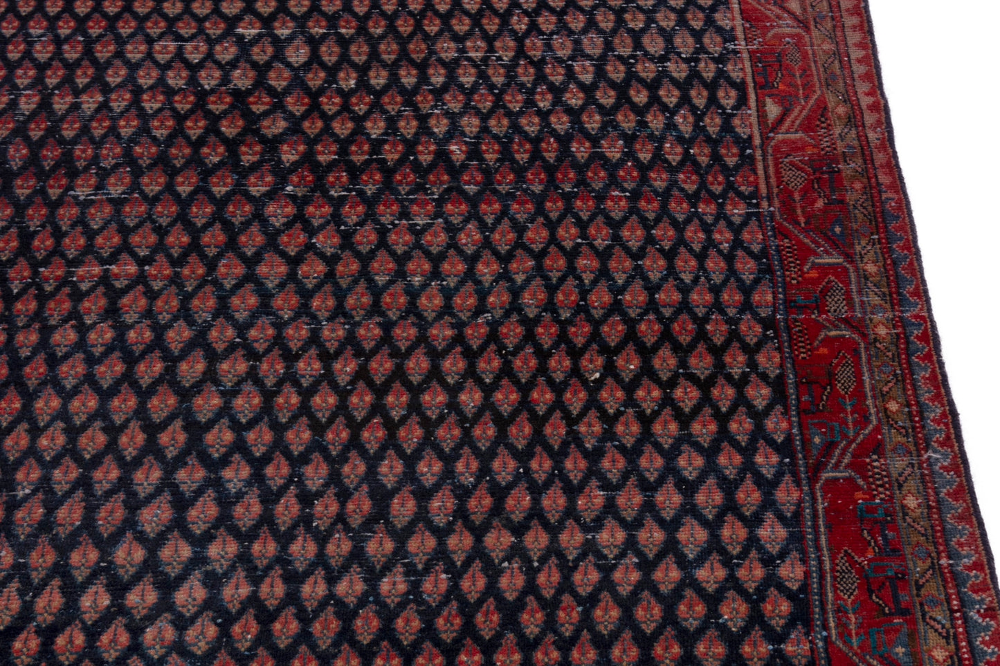 CAN_4235 - 4'2" x 12'2"