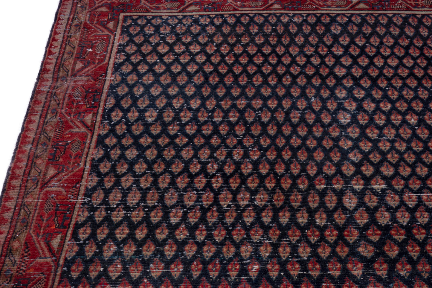 CAN_4235 - 4'2" x 12'2"