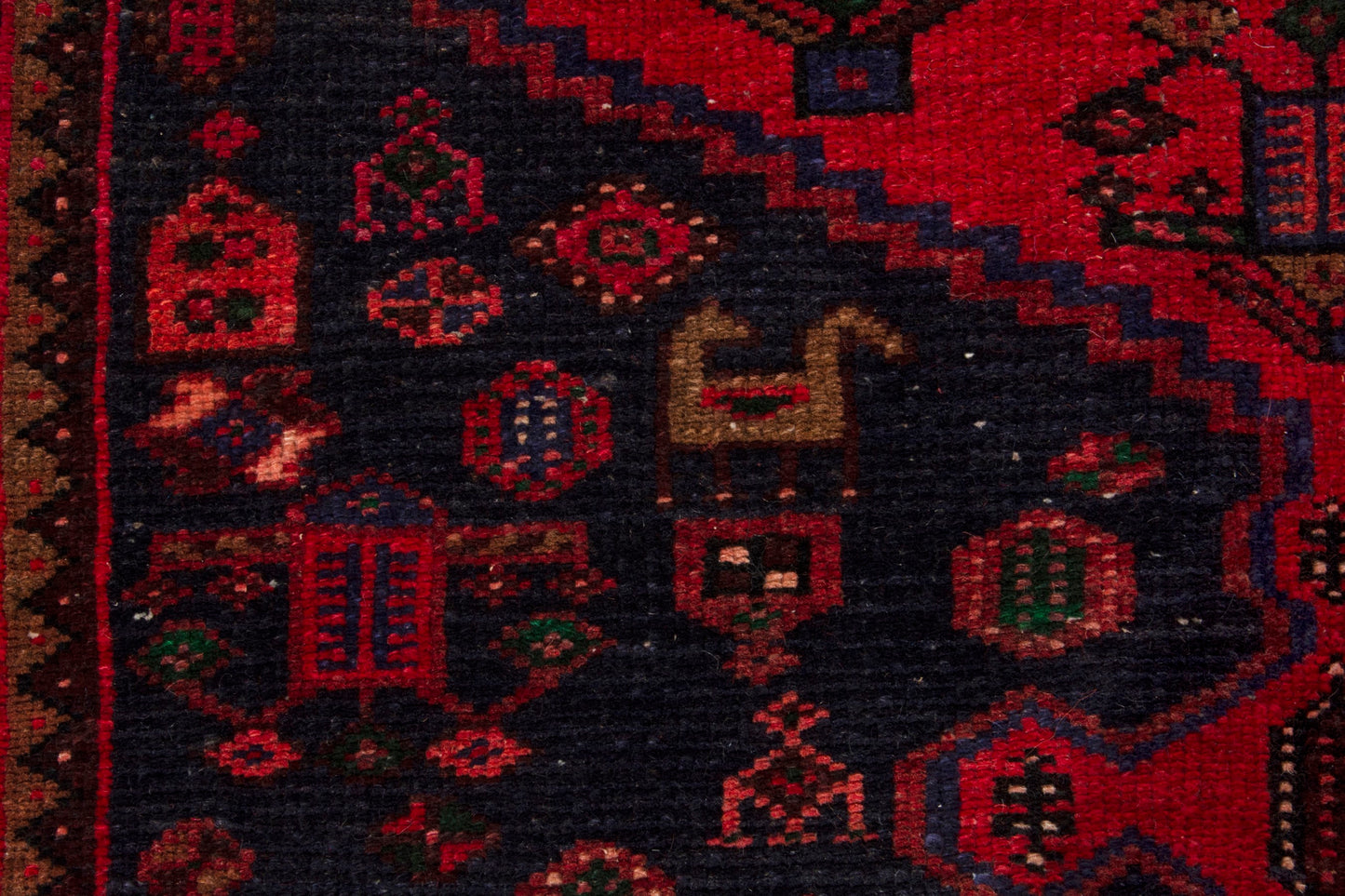 CAN_4267 - 4'5" x 10'2"