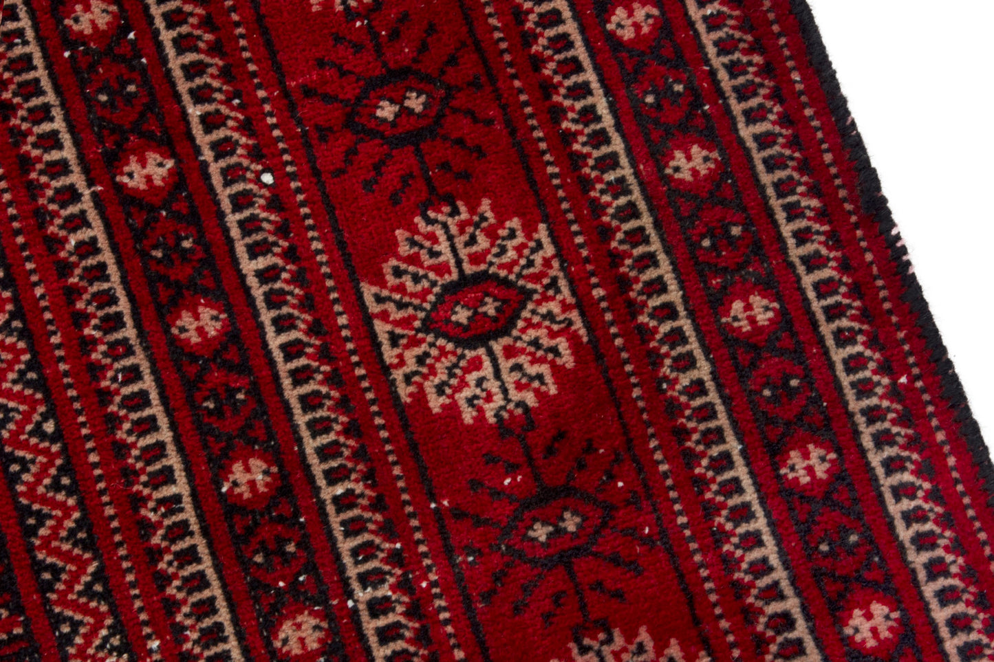 CAN_4268 - 5'1" x 7'1"