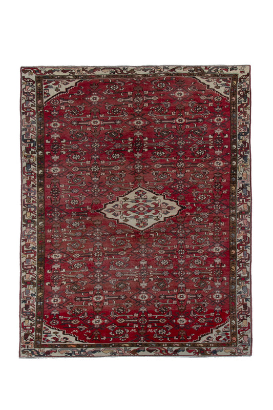 CAN_4271 - 4'9" x 9'11"