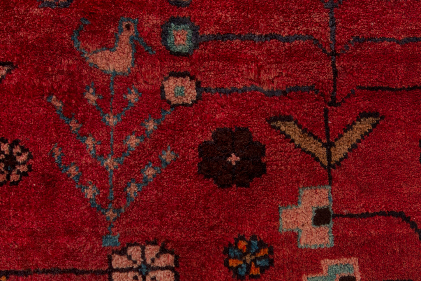 CAN_4288 - 4'1" x 10'2"