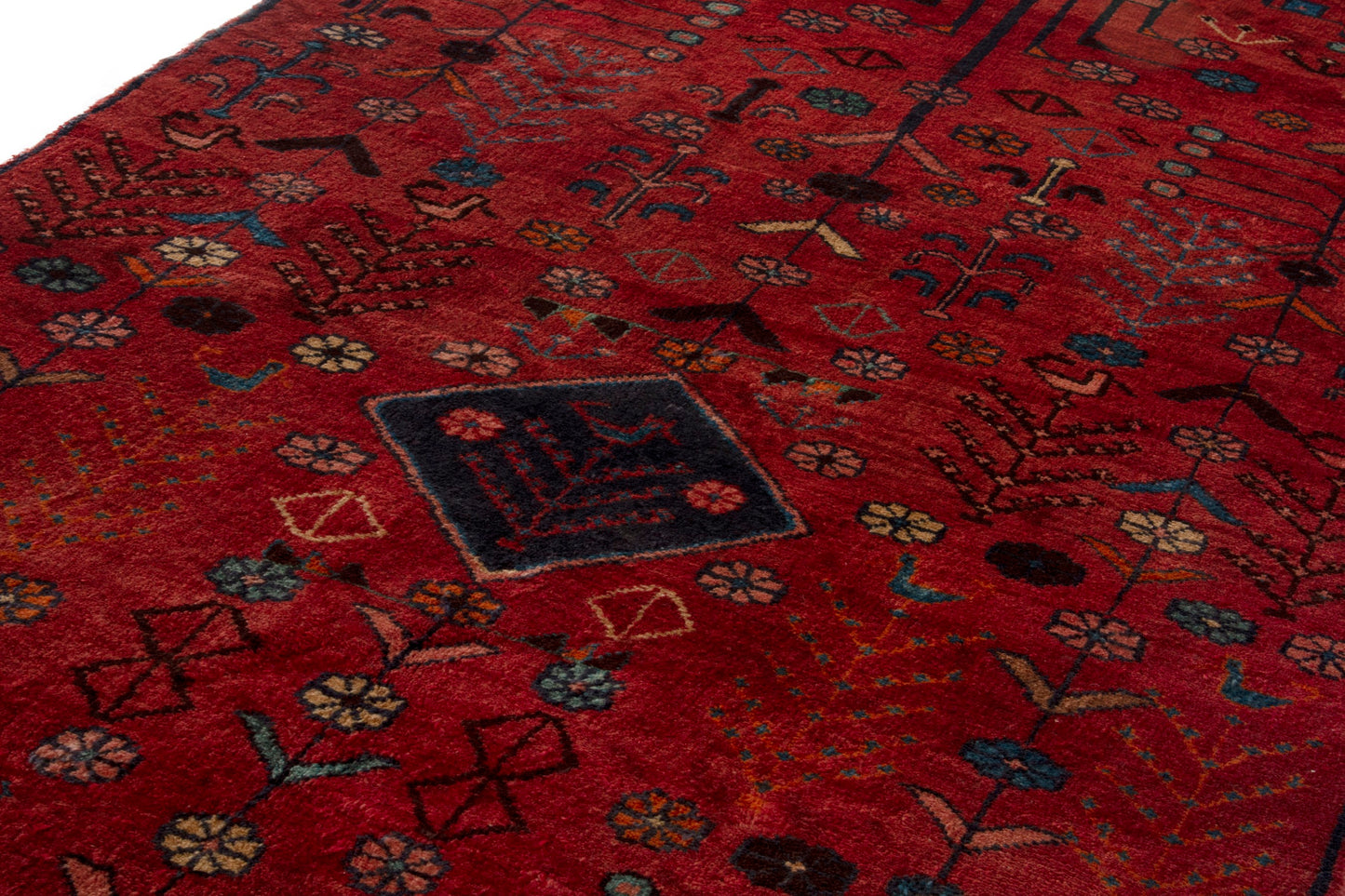CAN_4288 - 4'1" x 10'2"