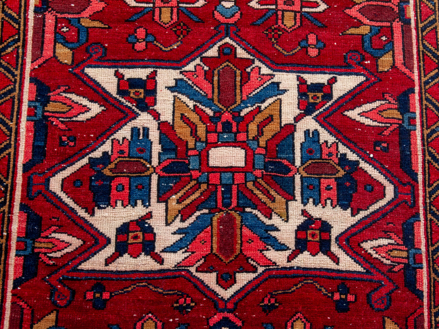 CAN_4301 - 3'3" x 11'
