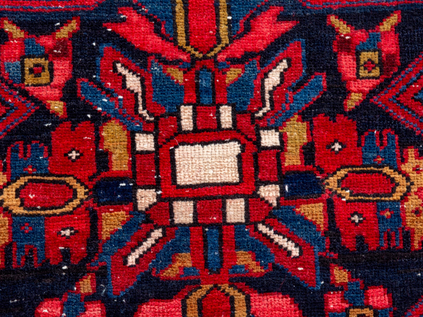 CAN_4301 - 3'3" x 11'