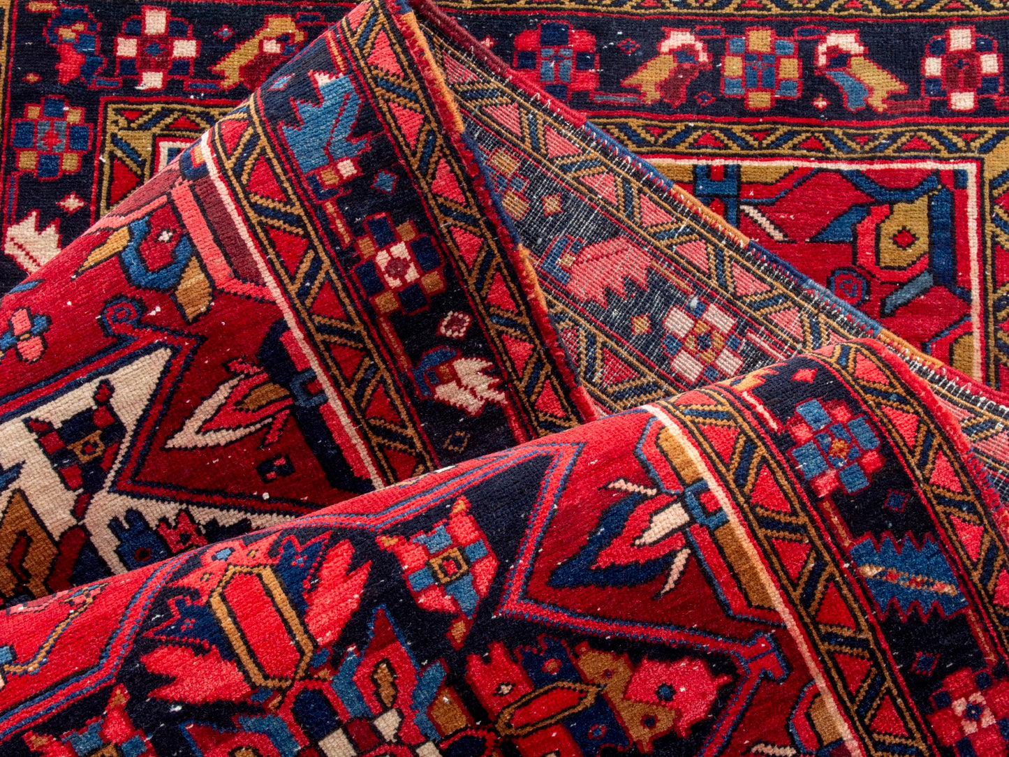CAN_4301 - 3'3" x 11'