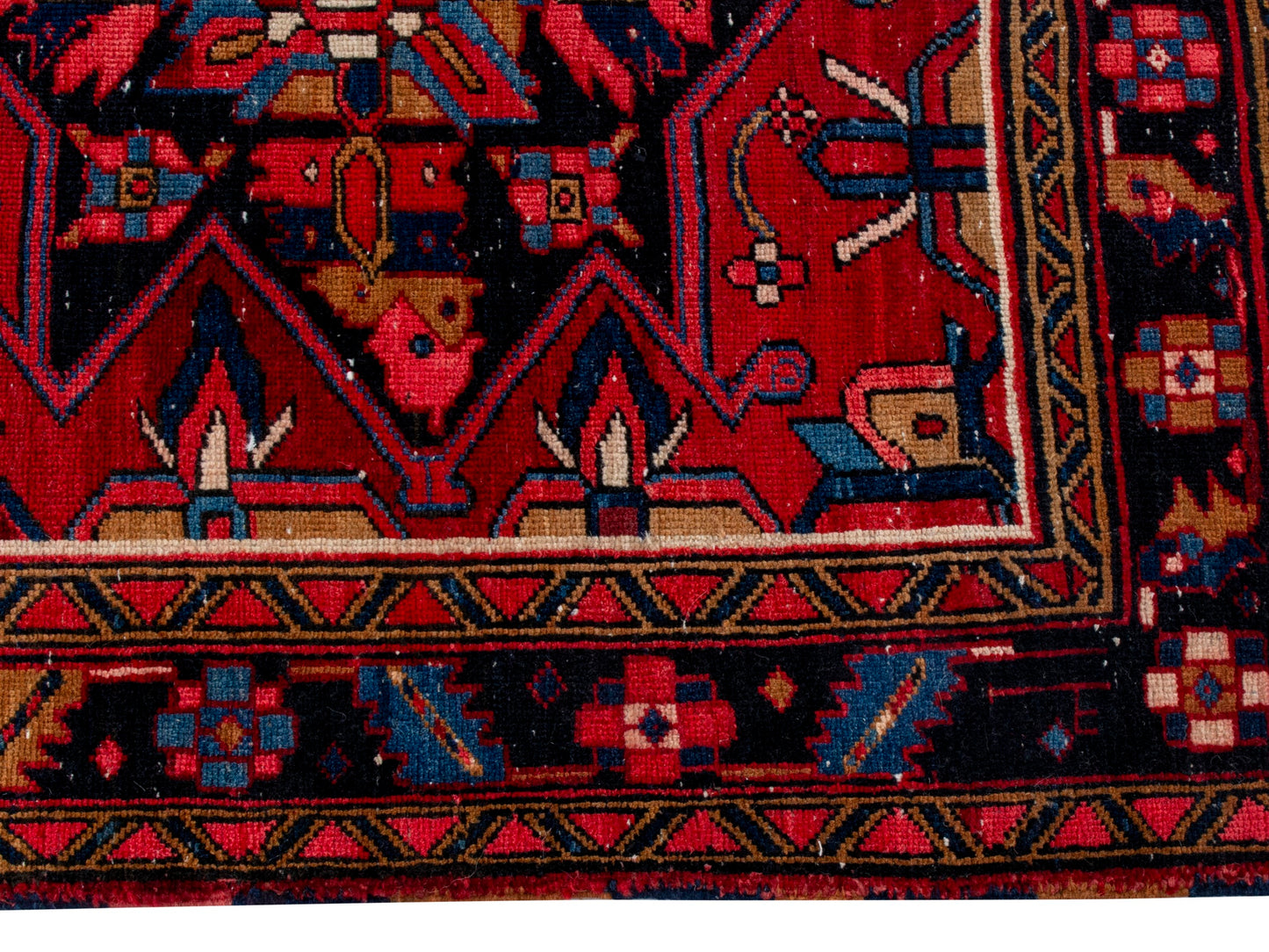 CAN_4301 - 3'3" x 11'