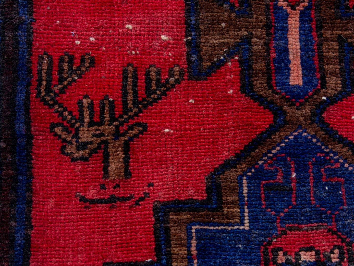 CAN_4311 - 1'10" x 8'10"