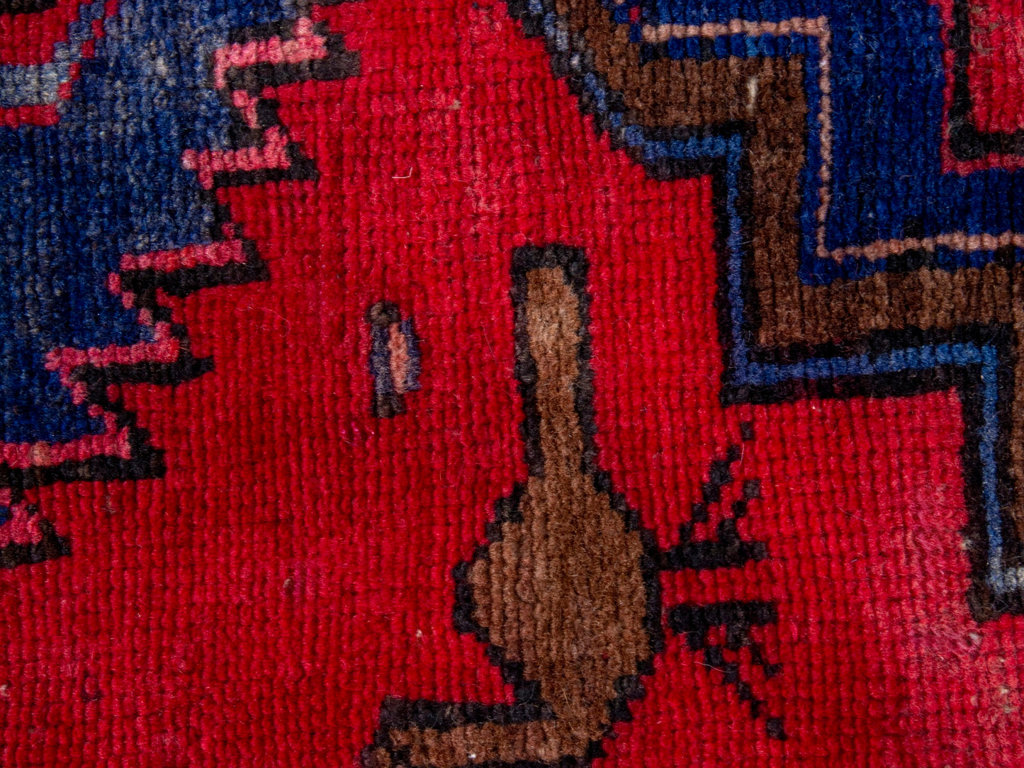 CAN_4311 - 1'10" x 8'10"