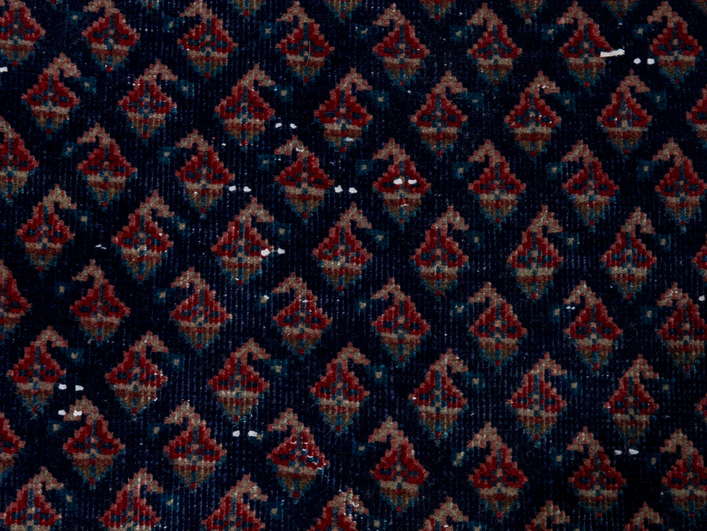 CAN_4328 - 1'10" x 7'11"