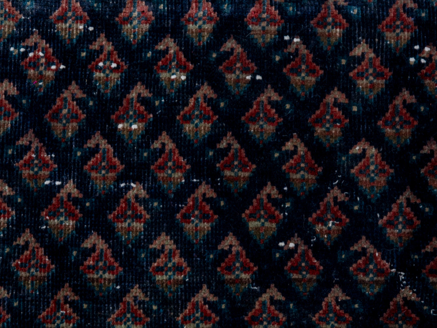 CAN_4328 - 1'10" x 7'11"