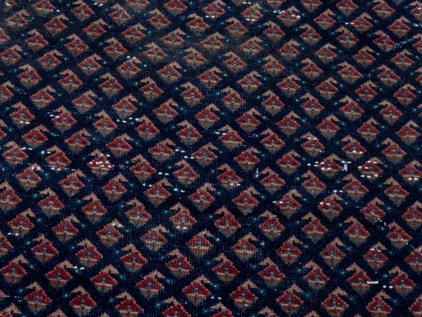 CAN_4328 - 1'10" x 7'11"