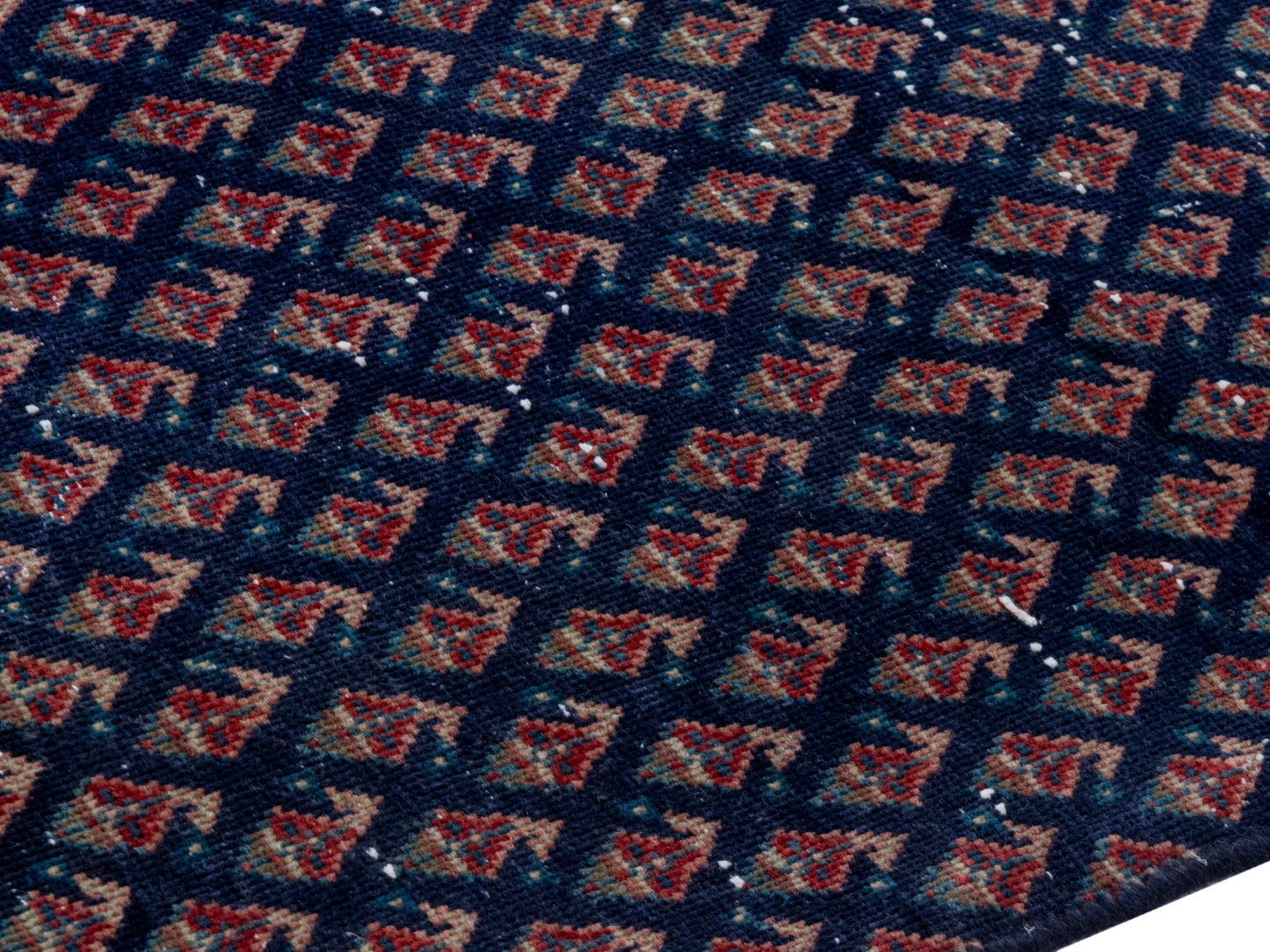 CAN_4328 - 1'10" x 7'11"